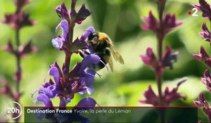 Destination France : Yvoire, la perle du Léman