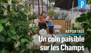 Champs-Elysées : des terrasses végétalisées  « pour faire revenir » les Parisiens