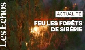 Près de 200 incendies ravagent les forêts de Sibérie