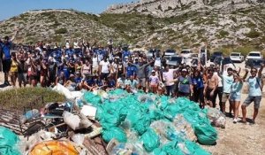 Des bénévoles ont ramassé plus d'une tonne de déchets dans les calanques à Marseille