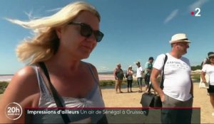 Aude : les salins de Gruissan, un air de Sénégal