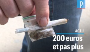 Cannabis : fumer un joint sera seulement passible d'une amende de 200 euros