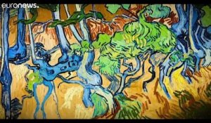 Le secret du dernier tableau de Van Gogh révélé