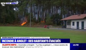 Incendie à Anglet: une vingtaine d'hectares ont été ravagés par les flammes, selon la municipalité