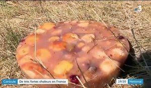 Canicule : très fortes chaleurs en France
