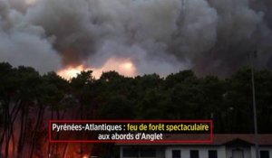 Pyrénées-Atlantiques : le feu de forêt spectaculaire à Anglet est « maîtrisé »