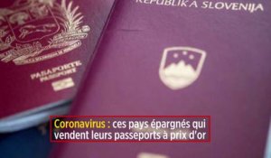 Coronavirus : ces pays épargnés qui vendent leurs passeports à prix d'or