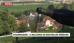 Champagne : des millions de bouteilles perdues