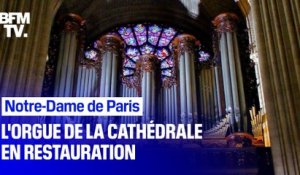 Le plus grand orgue de France en restauration après l’incendie de Notre-Dame de Paris