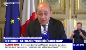 Jean-Yves Le Drian: "Il y a une volonté ferme de marquer notre solidarité avec la population libanaise"