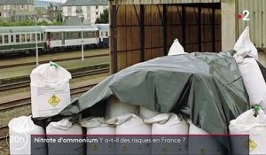 Nitrate d'ammonium : y-a-t-il des risques en France ?