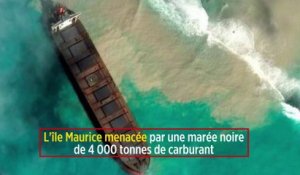 L'île Maurice menacée par une marée noire de 4 000 tonnes de carburant