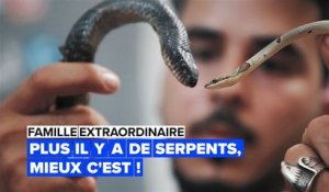 Famille extraordinaire : voudriez-vous un voisin avec autant de serpents ?