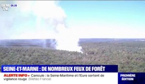 Surveillance accrue en Seine-et-Marne après de nombreux feux de forêt