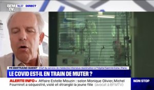 Bertrand Guidet (chef du service réanimation à l'hôpital Saint-Antoine): "Il est un peu tôt pour affirmer que le virus est moins virulent"
