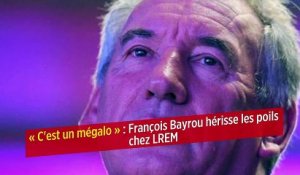 « C'est un mégalo » : François Bayrou hérisse les poils chez LREM