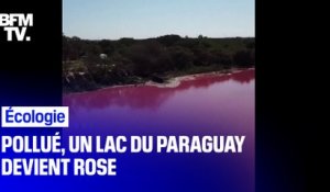 Au Paraguay, un lac devient rose à cause de la pollution