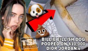 Billie Eillish woke up to a poop surprise on Her $10,000 Dior Air Jordan 1 Sneakers by her dog