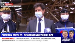 Julien Denormandie sur les chevaux mutilés: "Justice sera faite"