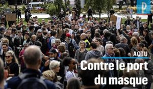 Covid-19 : des manifestants anti-masques rassemblés à Paris, la police verbalise