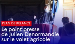 Plan de relance : le point presse de Julien Denormandie sur le volet agricole