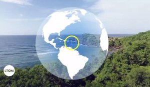 Martinique : Le champion du champignon