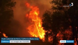 Californie : les incendies font des ravages