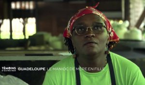 Guadeloupe : Le manioc de mère en fille