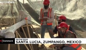 Mexique : sous un aéroport en cours de construction, des mammouths