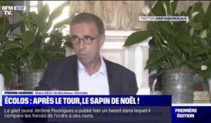Sapin de Noël: le maire EELV de Bordeaux déclare qu'il "ne mettra pas d'arbres morts sur les places de la ville"