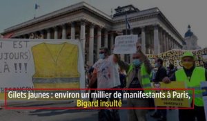 Gilets jaunes : environ un millier de manifestants à Paris, Bigard insulté