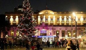 Sapin de Noël supprimé à Bordeaux : le maire envisage une “consultation” après une pétition_IN