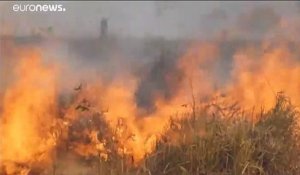 Brésil : des feux de forêts, encore et toujours