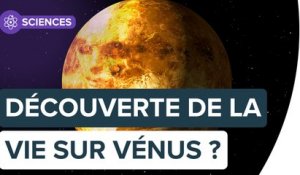 Un gaz troublant identifié dans l'atmosphère de Vénus | Futura