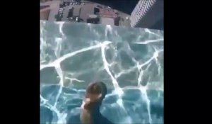 Le fond de cette piscine va vous donner le vertige