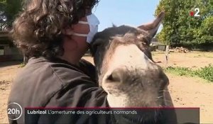 Lubrizol : les agriculteurs amers face aux indemnisations