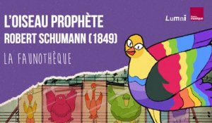 Schumann : L'oiseau prophète - La Faunothèque