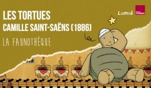 Saint-Saëns : Les tortues - La Faunothèque