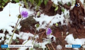 Intempéries : 5 centimètres de neige en Auvergne
