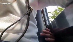 Un homme grillé en train de passer sa main entre les fauteuils d'un bus