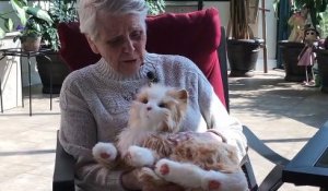 Réna Sauvé et son chat thérapeutique
