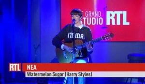 Nea - Watermelon Sugar (Live) - Le Grand Studio RTL