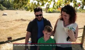 Limousin : prendre soin des animaux dans le parc du Reynou