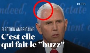 Une mouche se pose sur la tête de Mike Pence pendant son débat avec Kamala Harris