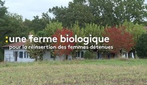 Dans les Landes, la réinsertion de détenues passe par l’agriculture bio