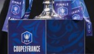 Coupe de France 2019-2020 : les exploits des petits poucets