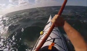 Incroyable : un dauphin saute par dessus ce kayakiste !