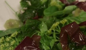 Santé – Algues : les légumes de la mer