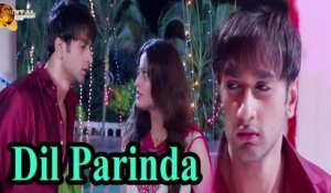Dil Parinda | Sad Song | HD Video