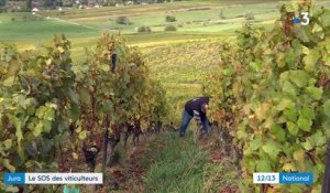 Crise sanitaire : les viticulteurs du Jura tirent la sonnette d'alarme